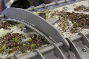 Stopham Vineyard wines in press 2014 web